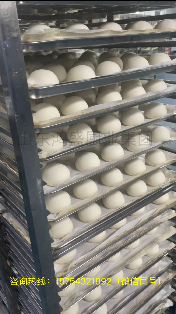 临沂客户订购的一间大型醒发房安装完成